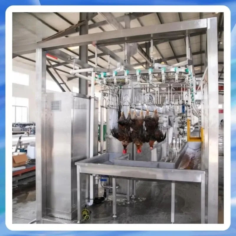 Poultry Abattoir Slaughter 1000 Chickens Per Hour Butcher Equipment Poultry Slaughtering Production Line