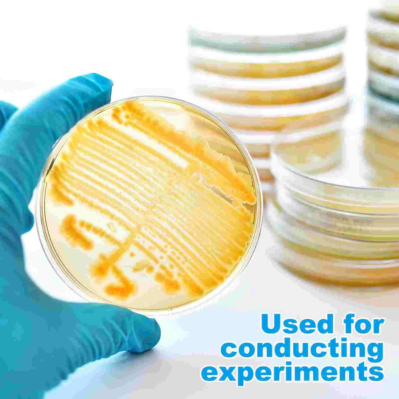 10 ชิ้น Agar แผ่นสําหรับการทดลองสารอาหารห้องปฏิบัติการ Prepoured Petri Dish Baby