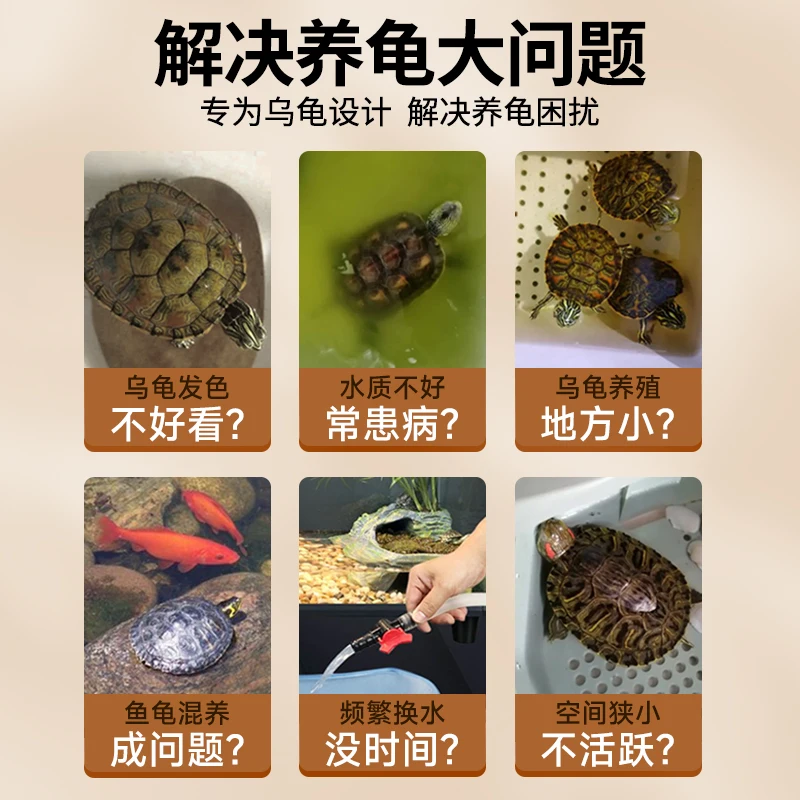 

Turtle feeding tank turnover box, turtle raising, 2 Chinese grass turtles, couple small turtles with filter drainage