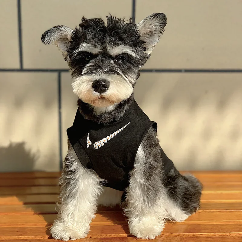 

Daisy Dog Vest Spring and Summer Clothes Autumn and Winter Pet Clothes Cat Teddy Bear Schnauzer Puppy Clothes