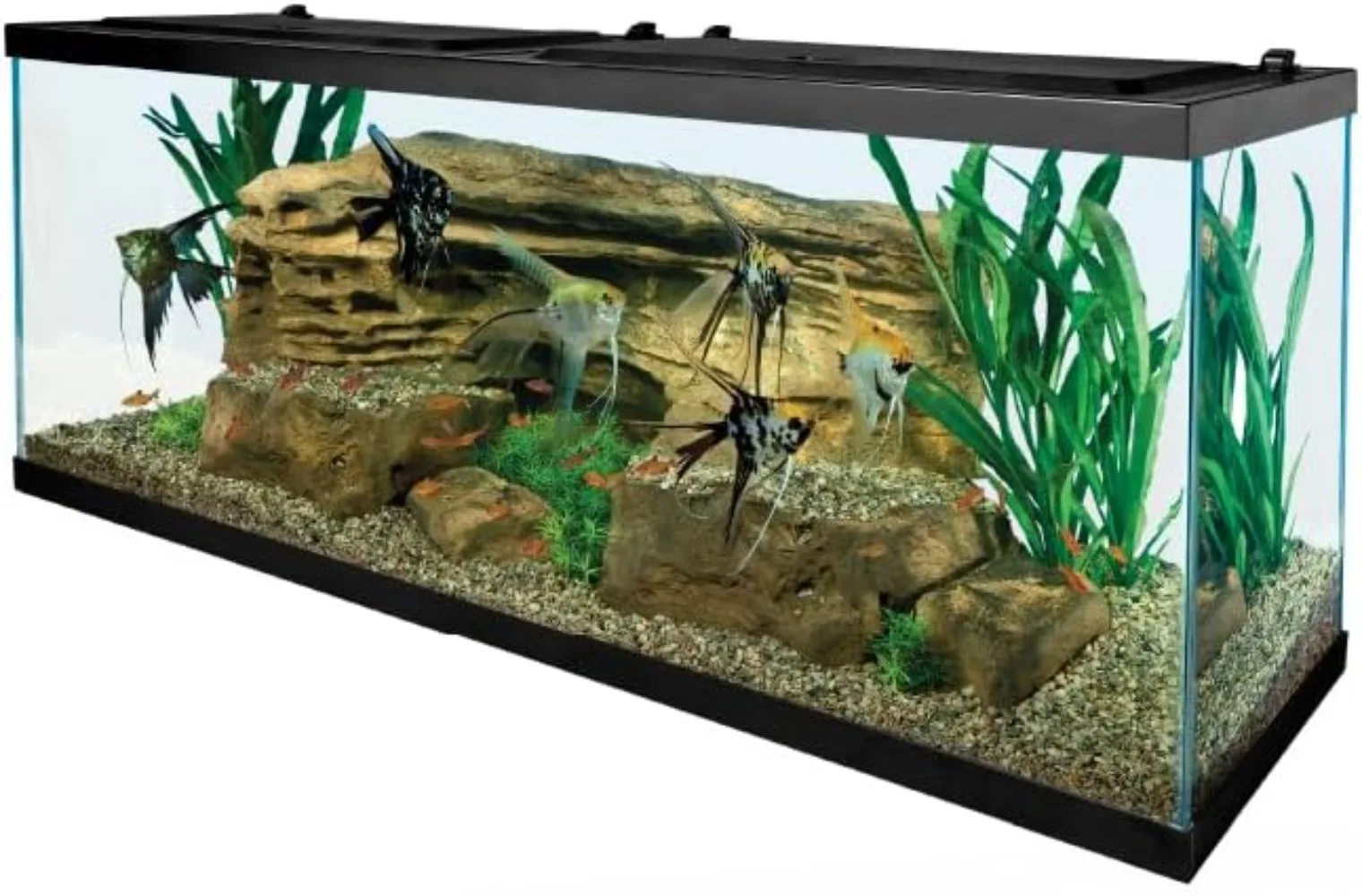 Complete LED Aquarium 55 Gallons, Includes LED Lighting Filtration Heater and Accessories FILTER INCLUDED EASY TO SET UP