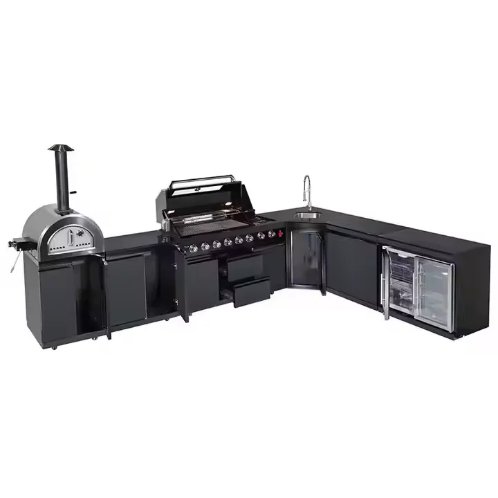 Рисунок 3 - Премиальная интегрированная модульная