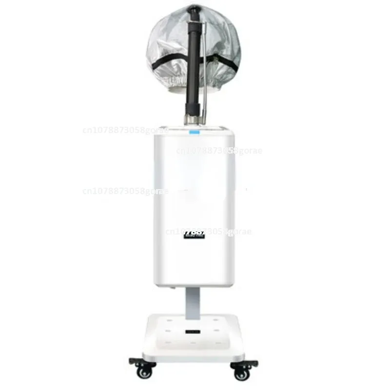 Top Supplier Professional Hair Care SPA Treatment  Hair Steamer Soft Cap Bonnet Ionic Micro Mist Hair Steamer Machine