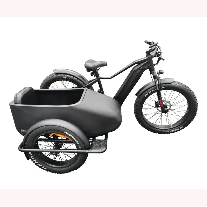 Bike Side Car Adult Electric Tricycle Bicycle 3 Wheel Ebike Electric Cargo Trike 750w Hidden Lithium Battery Etrike Sidecar