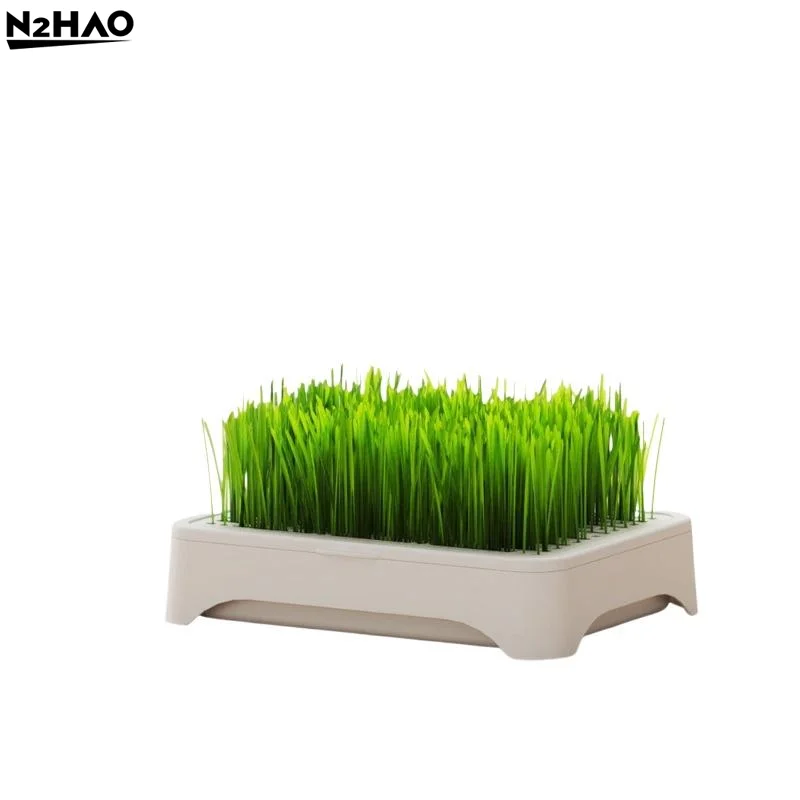 Wheat Grass Planter Kit for Cats Indoor Soilless Cultivation Pot for Happy Pets