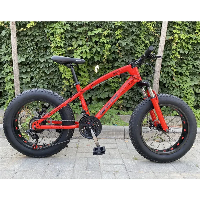 

Factory Hot Selling OEM 26 Inch Single Speed Fat Tyre Cycle for Men/26* 4.0 Fat Tire Chopper Bicycle for Sale/20 29 Inch Fat Bik