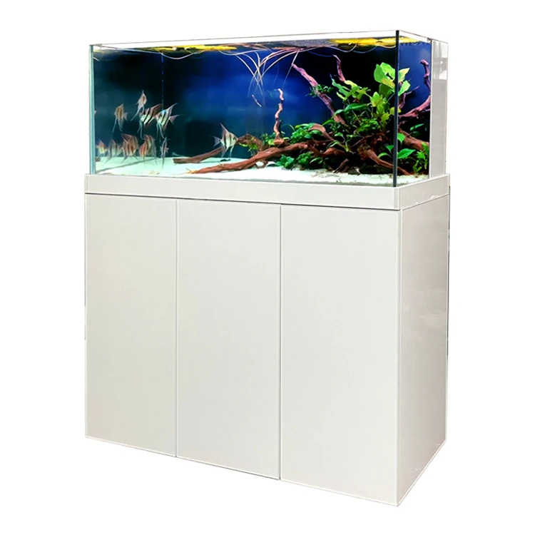 

Custom Aquarium Fish Tank & Cabinet Paludarium Stand Planted Aquariums Ultra Clear Glass Aquarium Fish Tank