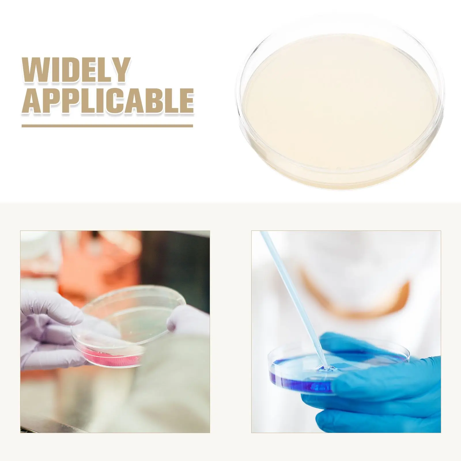 

10 Pcs Agar Plates Laboratory Dishes Pre Poured Transparent Mycology Biological Equipment Medium Disposable Petri