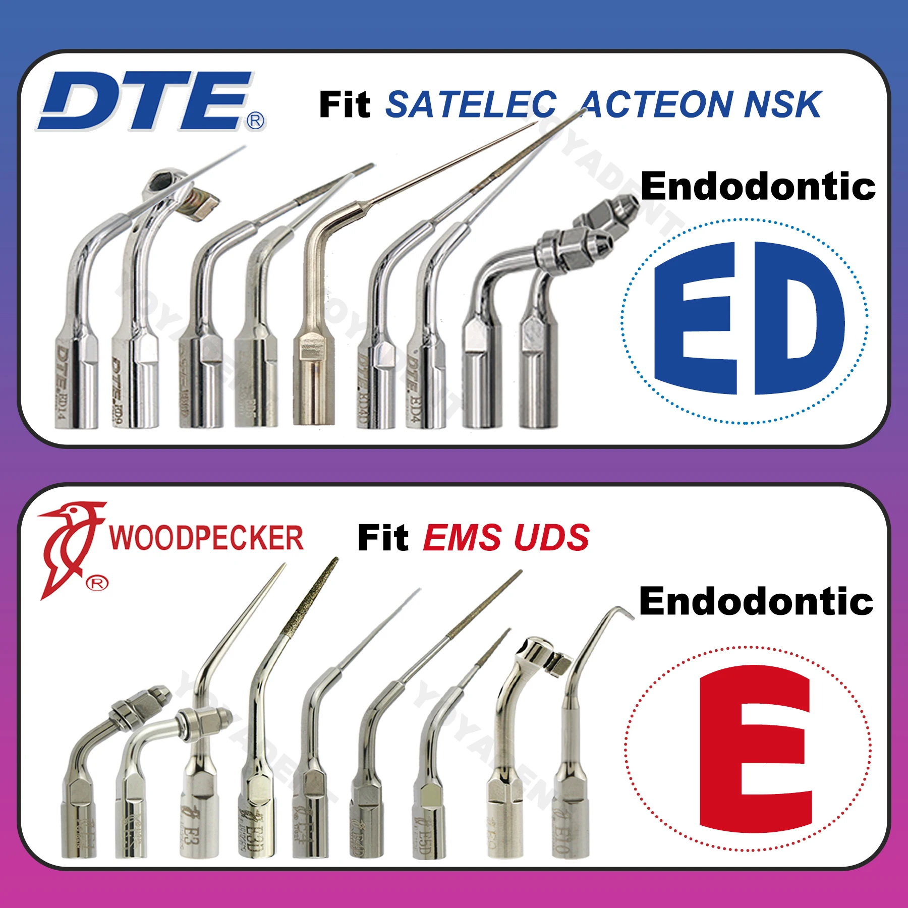 Woodpecker Dte Tips… - image