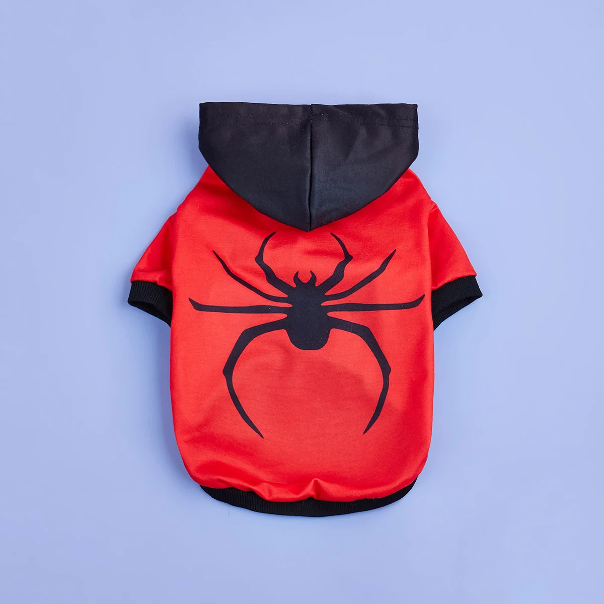 Halloween Spider Dog Hoodie 3
