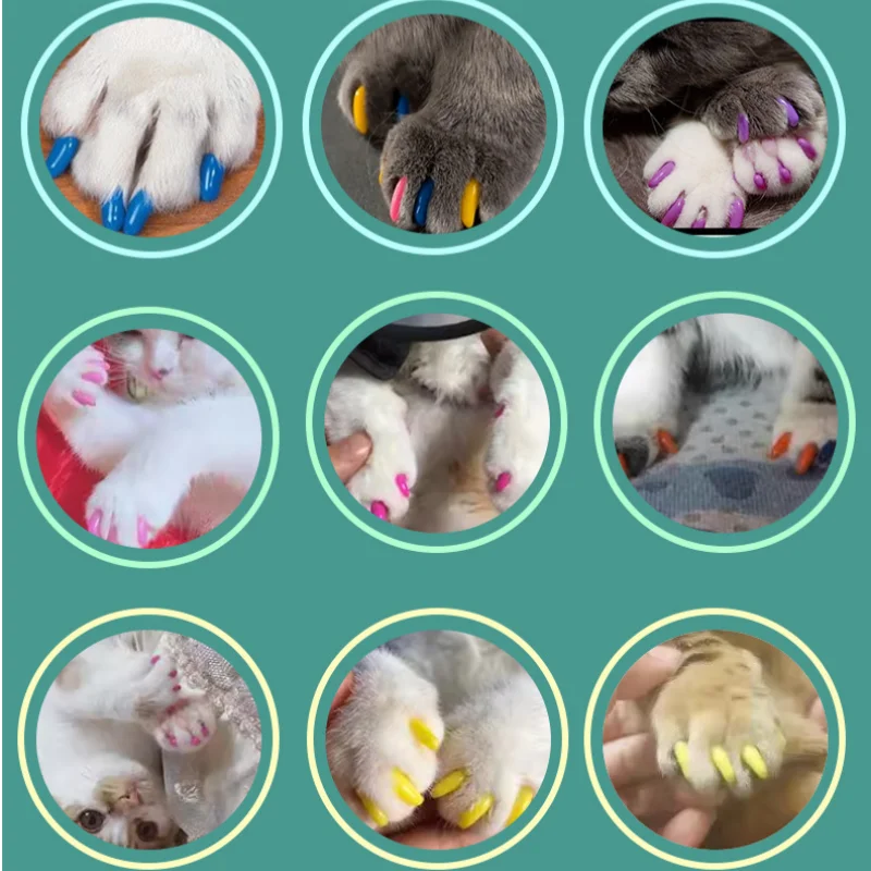

100 pcs Multiple Colors Dog Cat Nail Set Anti-Scratch Pet Supplies