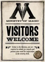 Tin Sign Small - (Ministry Of Magic)