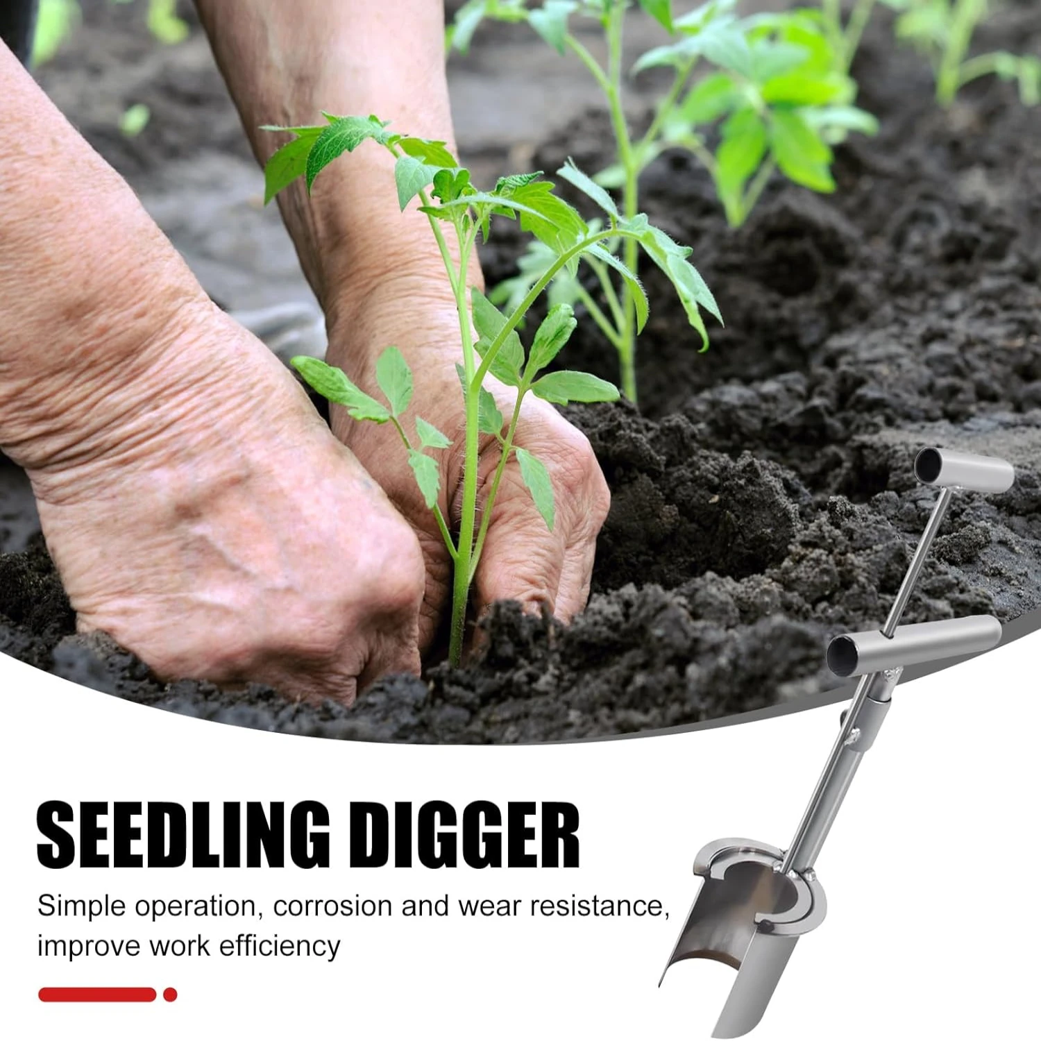 Sturdy and Highly Efficient Stainless Steel Handheld Bulb Planter Tool for Easy Digging in the Garden. Premium Quality Soil Samp