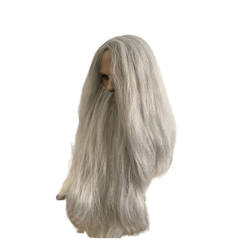 Halloween Wizard Wig Beard Set