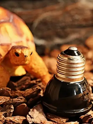 8 best sales लैंप इन्फ्रारेड - №2