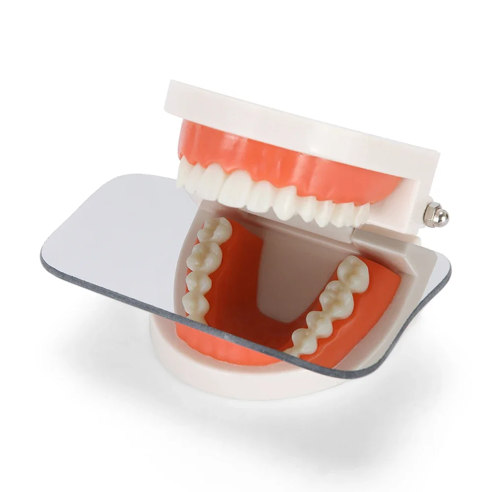 5pcs Dental Oral Clinic Photographic Mirror, Autoclavable Reflector for Orthodontic & Implant Dentistry, Dentist Basic Tools