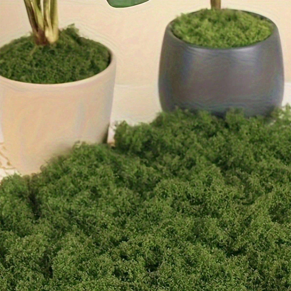 Bonsai Garden Layout - 250 g de decoraciones de musgo