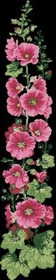 Riolis 1612 Pink Hollyhock Needlework,For Embroidery,DIY 14CT Unprinted Arts Cross stitch kits Set Cross-Stitching