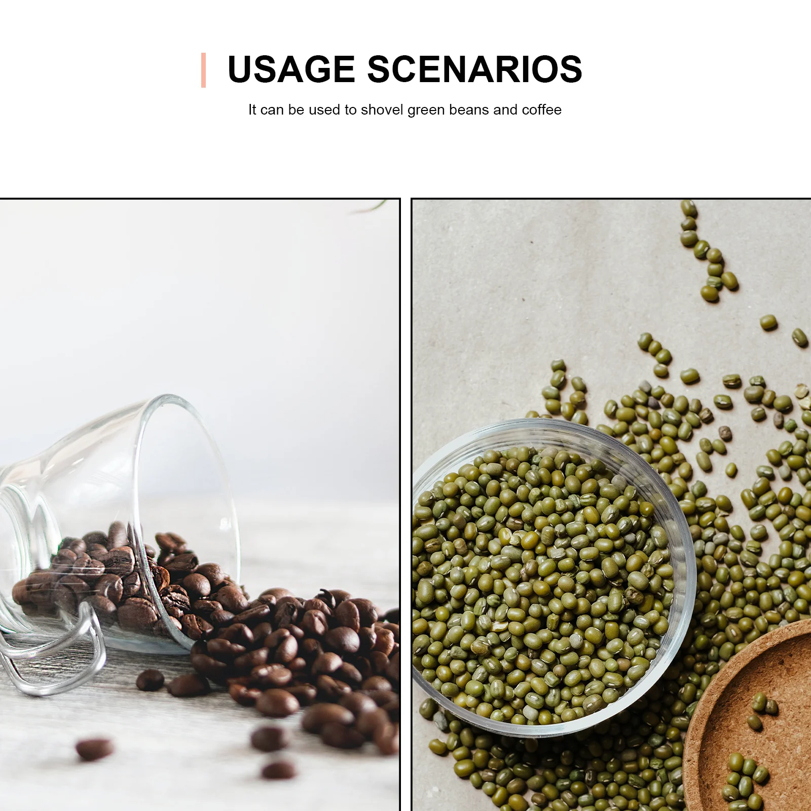 

Stainless Steel Pet Scoop 250G Capacity For Dog Food Coffee Beans Nuts Flour Popcorn Metal Food Scoop