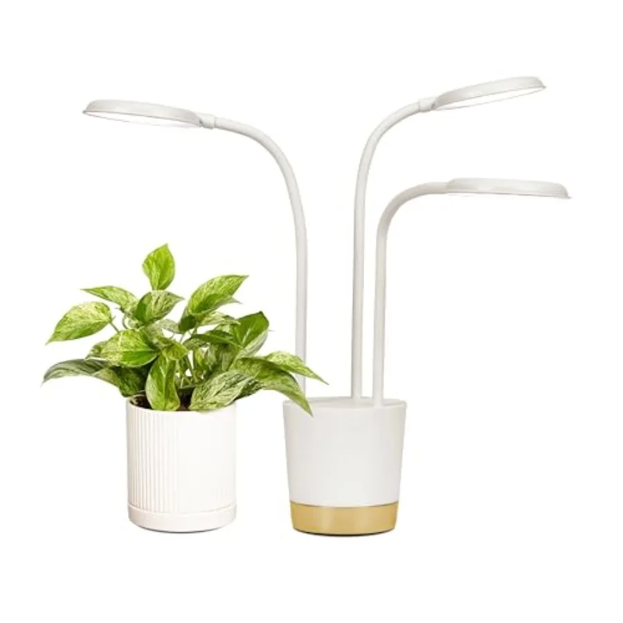 

Светильник Trio Grow Light для комнатных растений. Выращивайте живые растения где угодно в доме. Регулируемые режимы освещения. Цвет: кремовый.