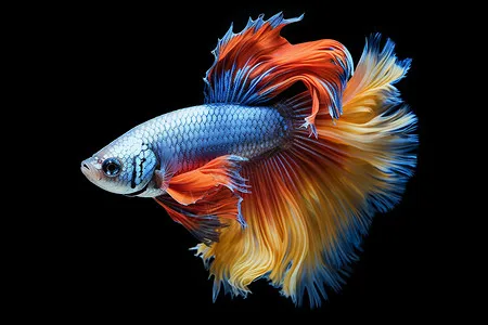 

Metal Wheel Rims Tires Rally Wheels For MJX 16207 08-09-10 14210 WLtoys 1/16 A959 144001 10 1/12 124017-16-18-19 MN128 86s G500