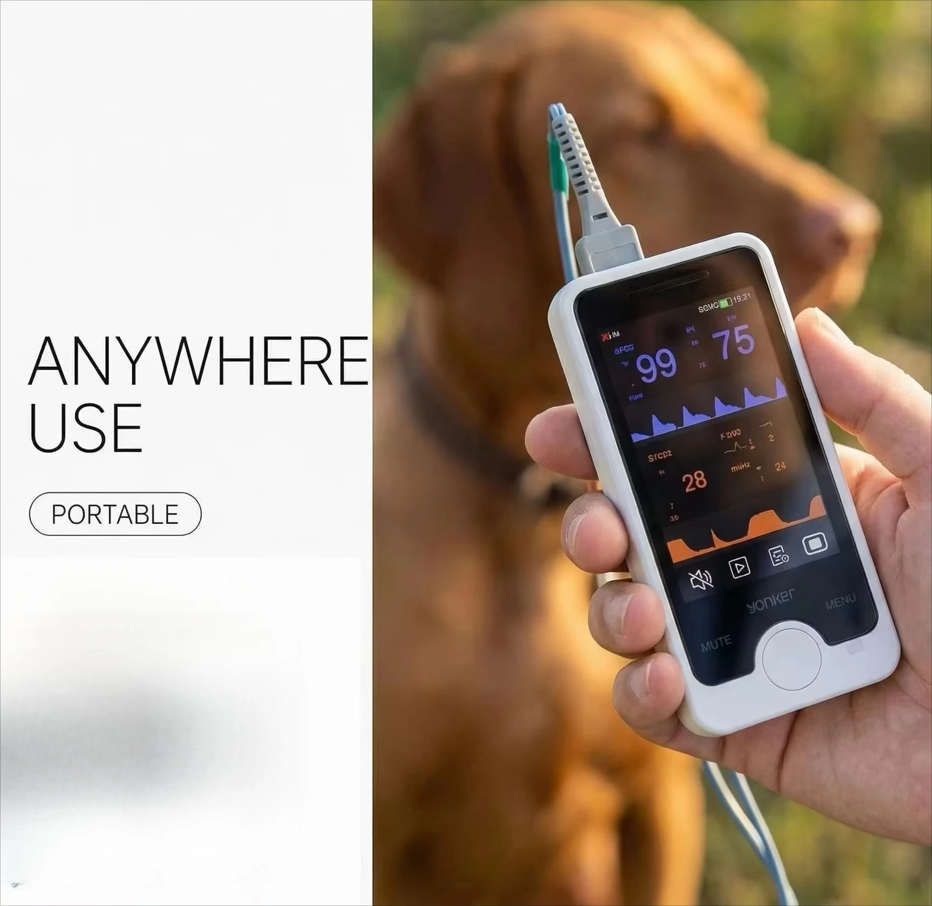 Handheld veterinary pulse oximeter and saturation  with high definition touch screen