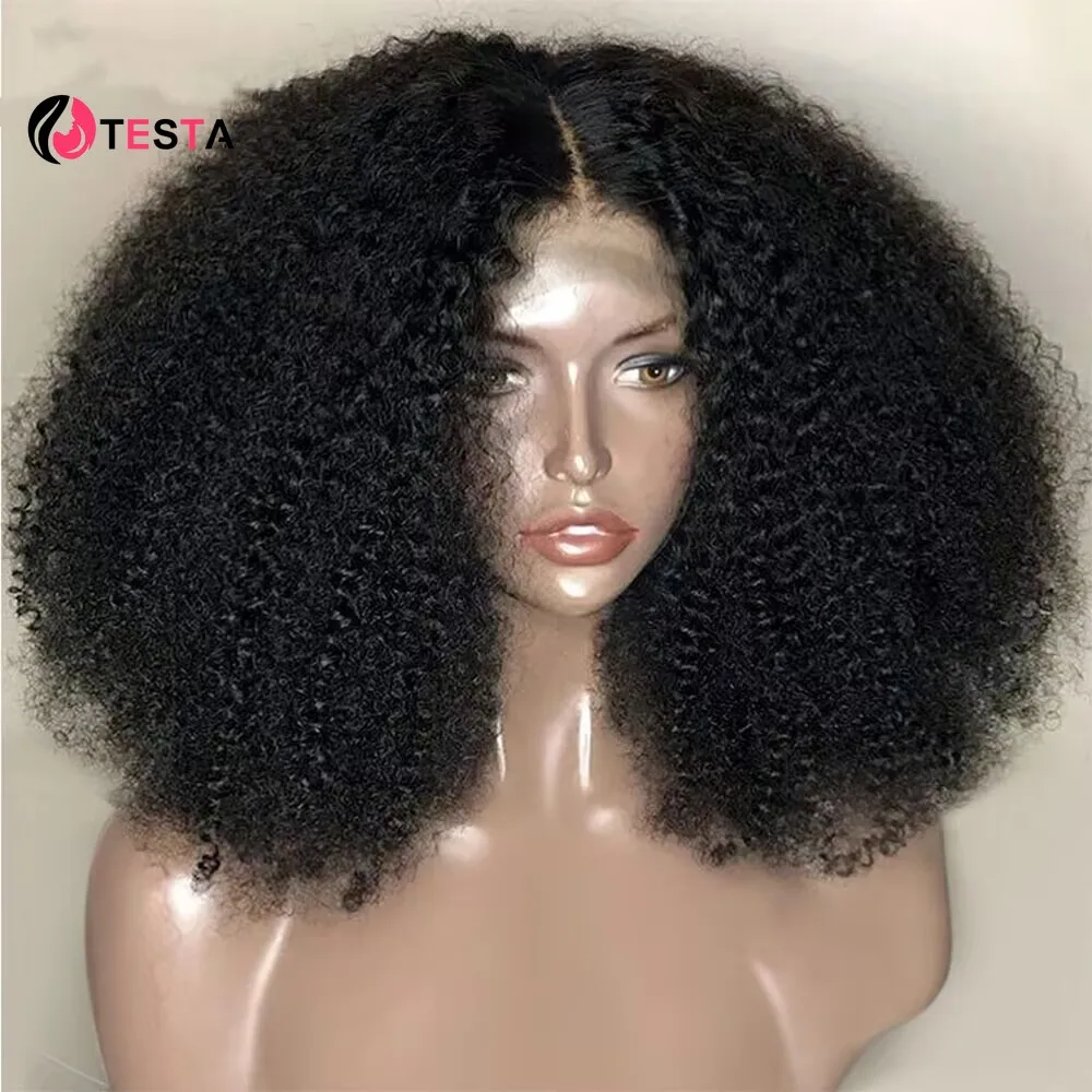 

300% Density Afro Kinky Curly Human Hair Wigs For Women Remy Indian 13x4 Lace Frontal 4*4 Closure Wigs With Transparent Lace