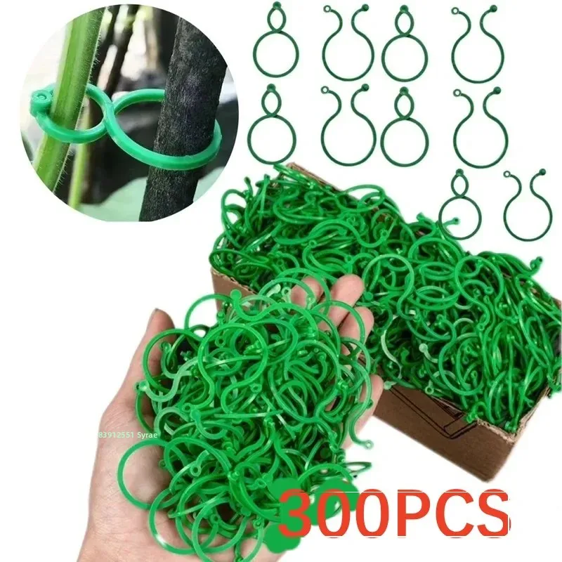 Clips de flejado de vid de jardín de plástico, 300/50 Uds., lazo reutilizable para plantas, anillo de hebilla incluido, gancho para tomate de jardín, herramientas fijas para plantas