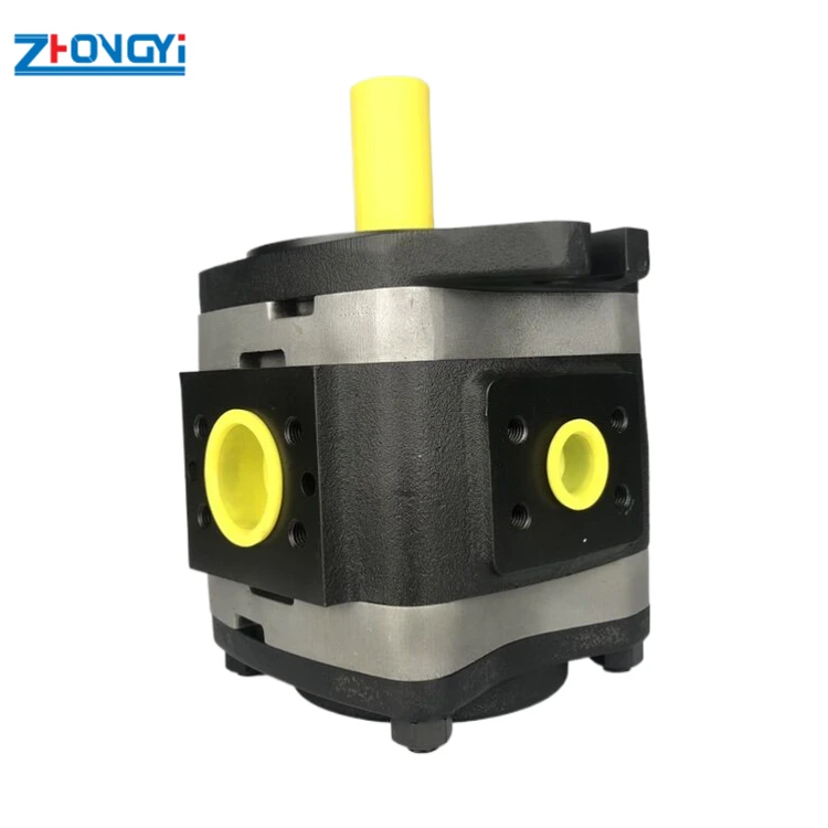 Hydraulic Internal Gear Pump IPVP 6 100 101 - High Performance for Machinery