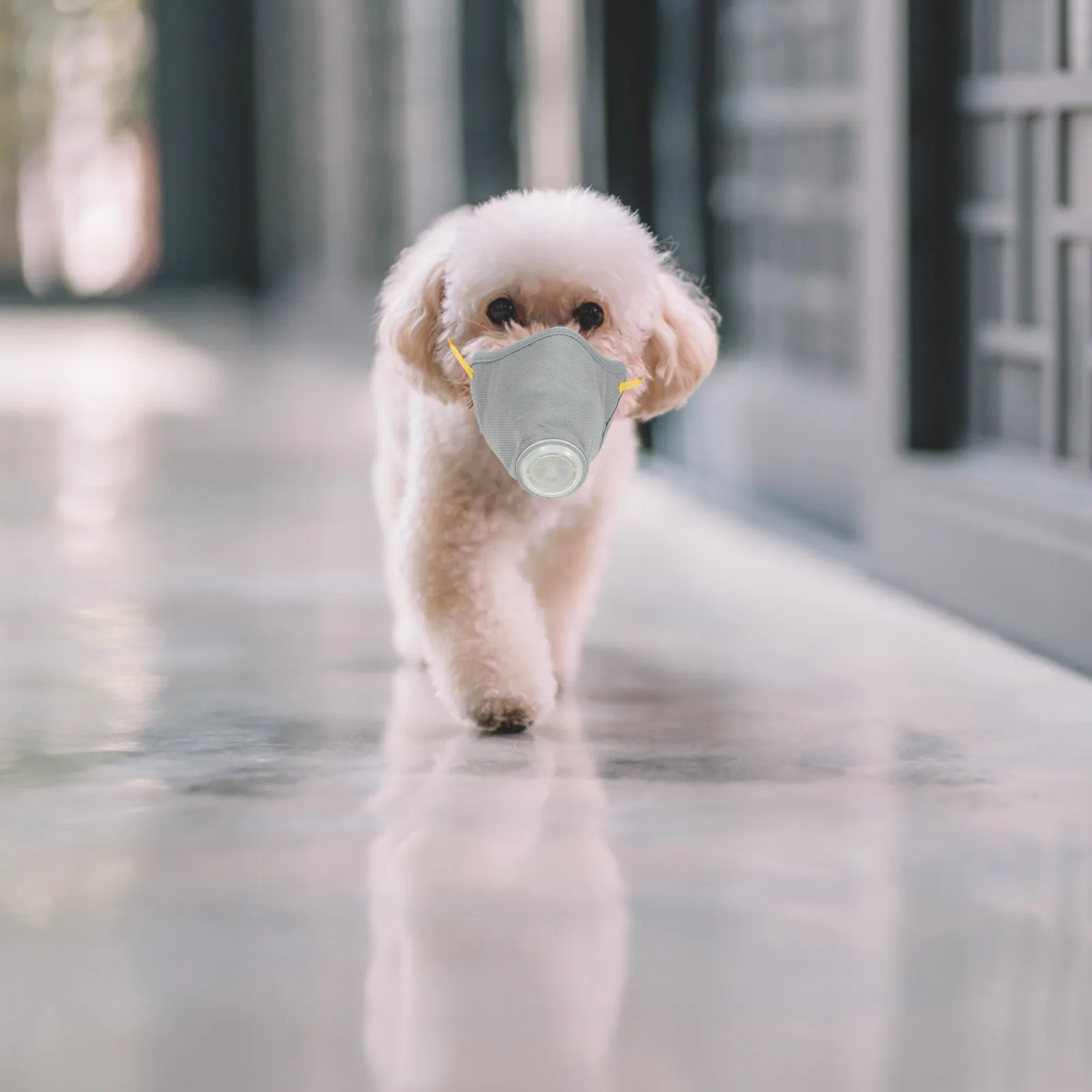 

2pcs Anti- Muzzle Small S Adjustable Breathable Pet Supplies Safety Mouth Cover Anti-Barking Dog Mask Random Color