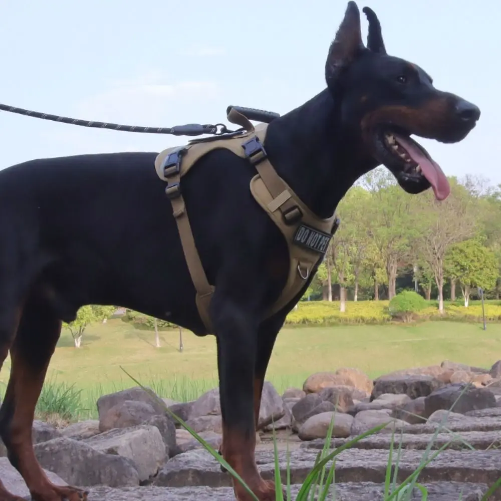 

Cat Supplies Reflective Dog Leash Set Anti Escape No Pull Pet Chest Strap Breathable Adjustable Large Dog Harness Vest Puppy