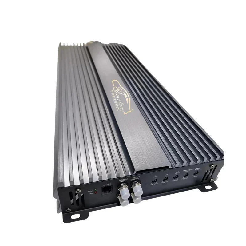 5000W 1 Channel Car Power Amplifier 12v Audio Amplifier System class Ab Car Amplifier