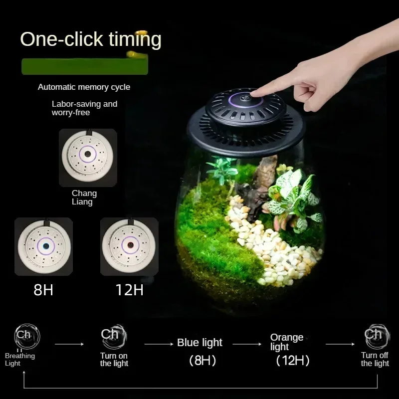 Timing Full Spectrum Plant Lamp Micro LandscapePlant Growth Lamp ShadePlant Grow LightGlass Flower Container MicroLandscape Lamp