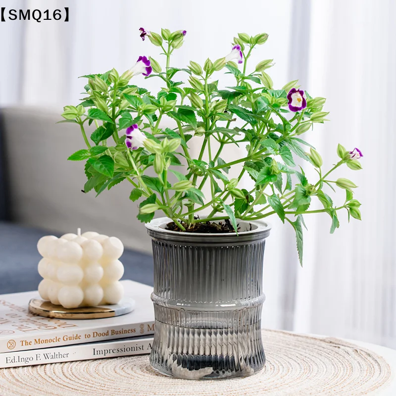 กระถางดอกไม้ไฮโดรโปนิกส์แบบอัต - Hydroponic Grow Pod บทวิจารณ์และราคา