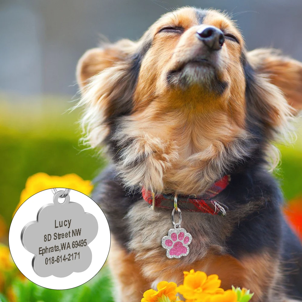 Personalized Dog Cat CustomTags Engraved Puppy Pet ID Name Collar Tag Stainless Steel Paw Glitter Pendant Pets Dogs Accessories