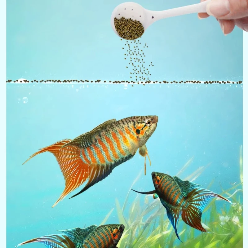 Eunison Micro Pellets Betta Fish Food, Small Granule Diet for Tropical Fish, Guppy,Zebra Danio,High Protein Color Enhancing Feed view 6