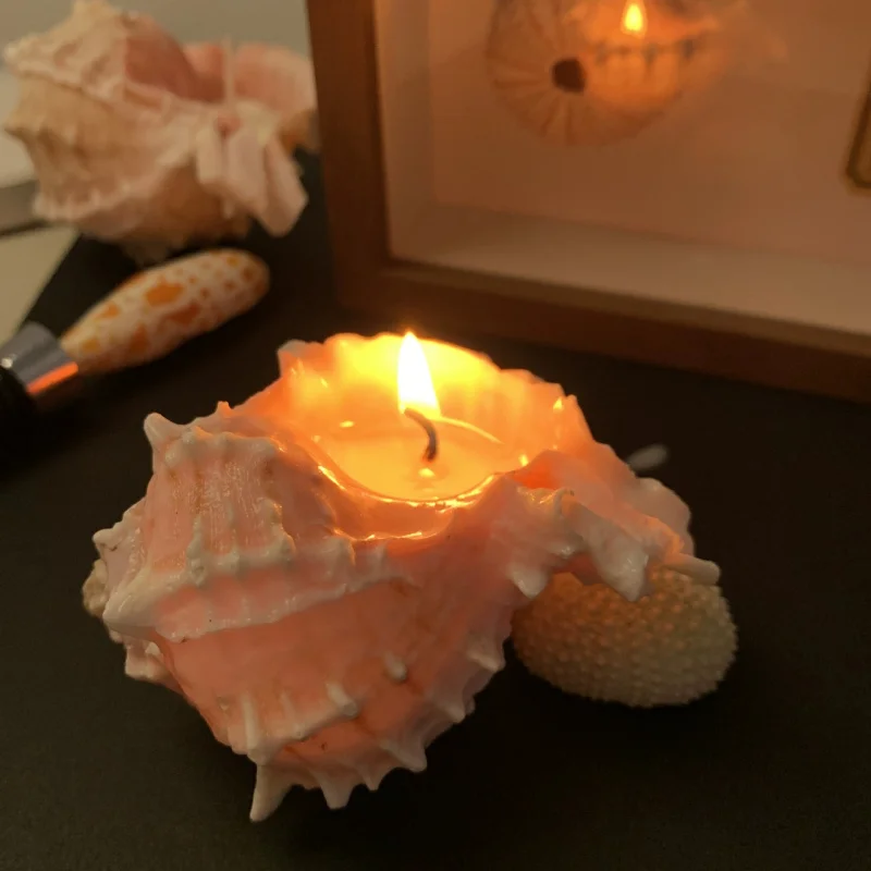 Conch Scented Candl…