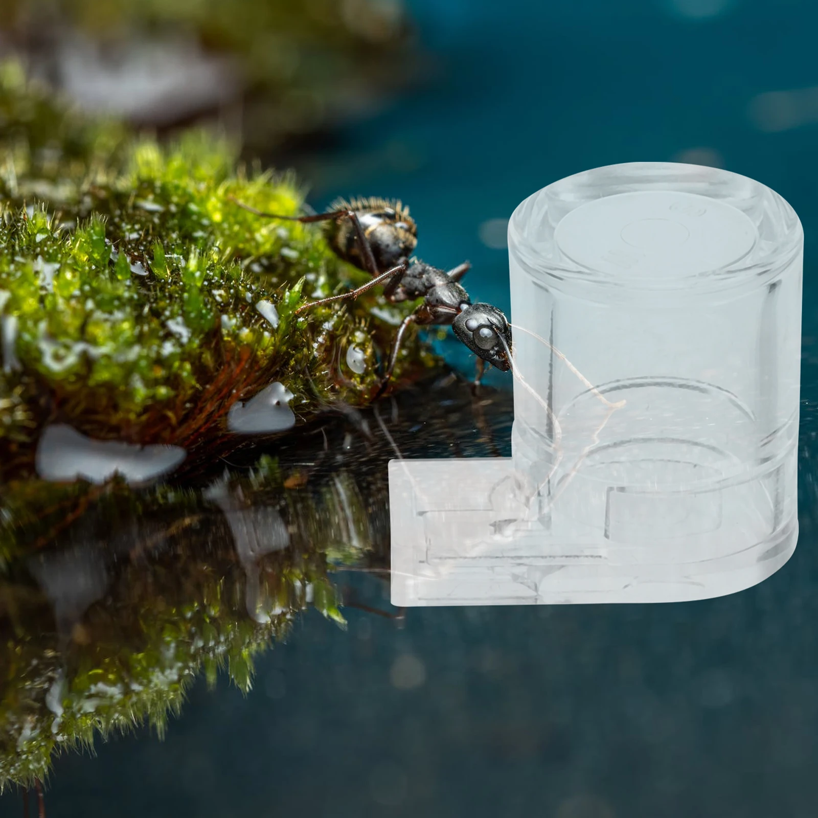 

Ants Water Feeder Small A Size Acrylic Bowl Stable Transparent Habitat for Ants Nest Set Breeding Box Pet Supplies Feeding