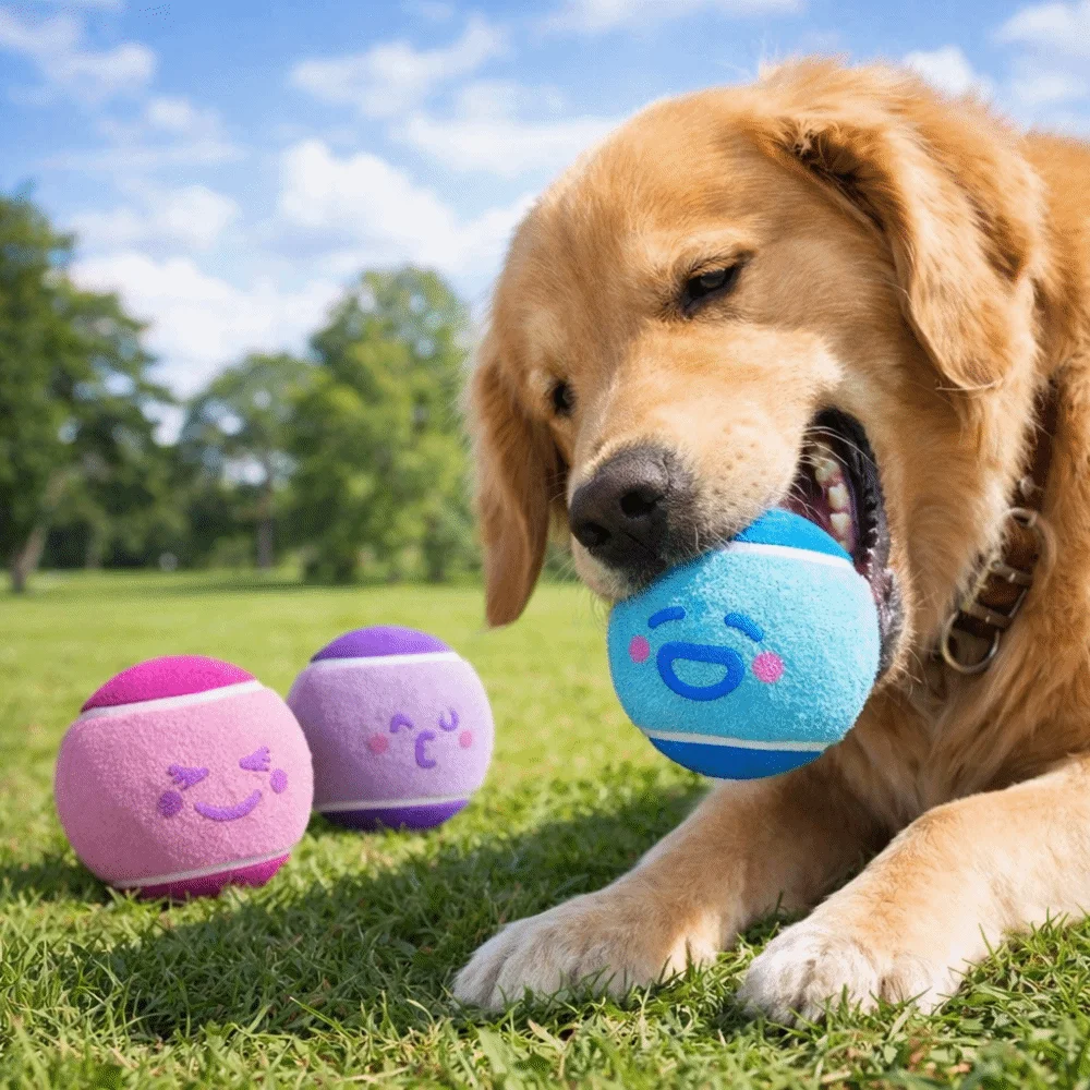 

3 pieces Elastic Pet Tennis Ball Color Blocked Squeaky Sound Pet Interactive Ball Cartoon Pattern Eco Friendly Dog Chew