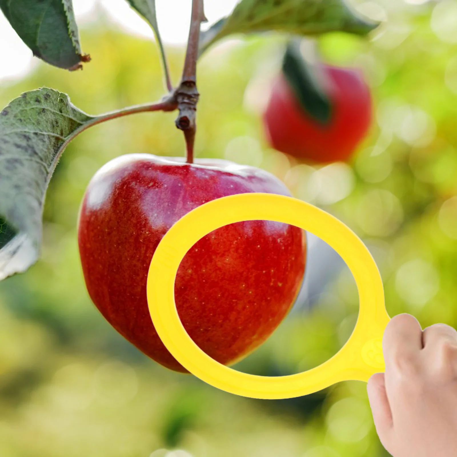 

1Set Plastic Fruit Measuring Tool Accurate Diameter Circle for Oranges Pomegranates Fast Size Classification Lap Portable