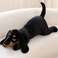 Black Dog