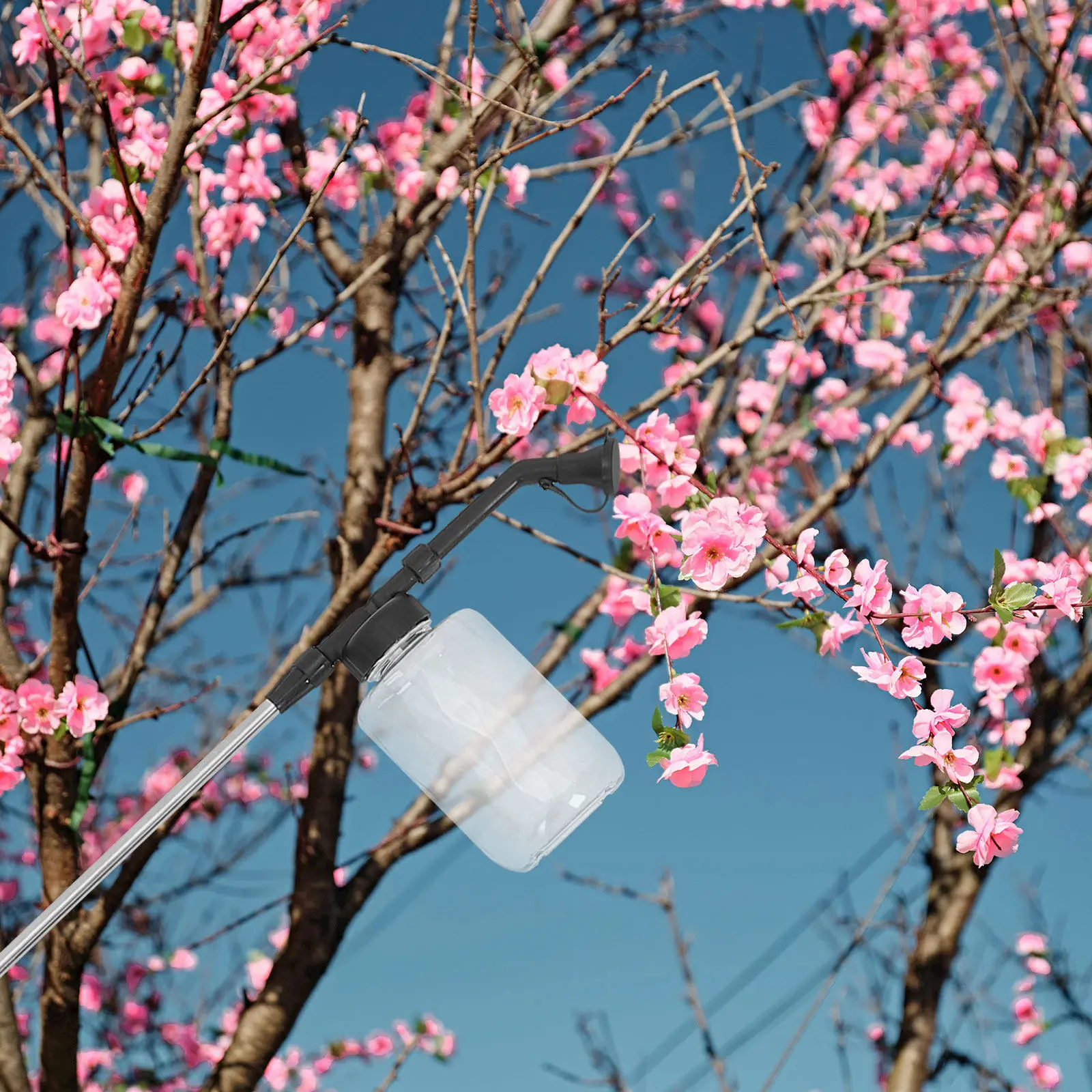Manual Pollination Stick Handheld Pollinator Tool For Greenhouse Gardening Supplies Vegetable Flower Fruit Tree Farming Tools view 3