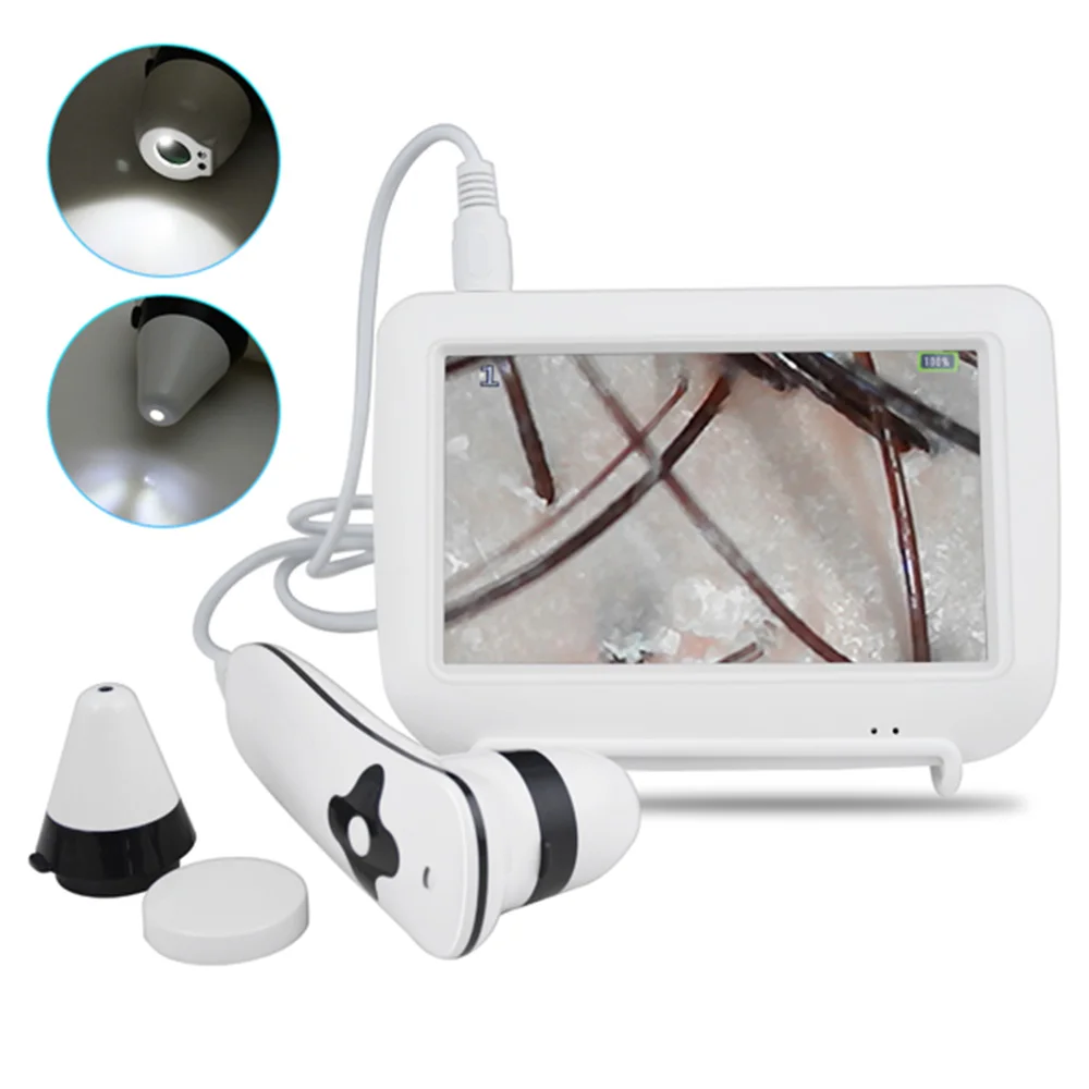 Sistema di diagnosi della pelle digitale con schermo LCD da 5 pollici Analisi dell'analizzatore dei capelli Ricaricabile portatile