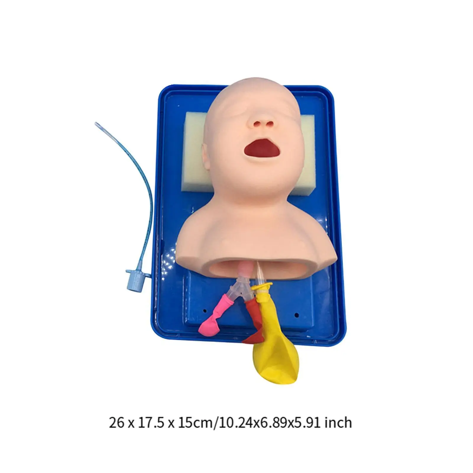 Tracheal Child Infant Airway Management Trainer Infant Intubation Trainer for Science Lab First Aid Simulation Training Students