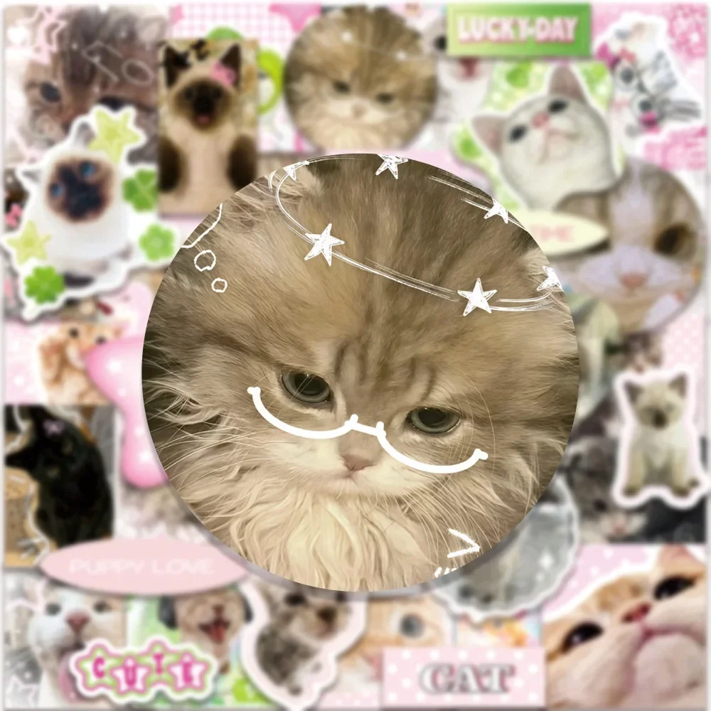 50 autocollants graffiti de chats style rétro, autocollants mignons de dessins animés de chats, autocollants imperméables pour bagages, téléphone, guitare, scrapbook, jouet pour enfant