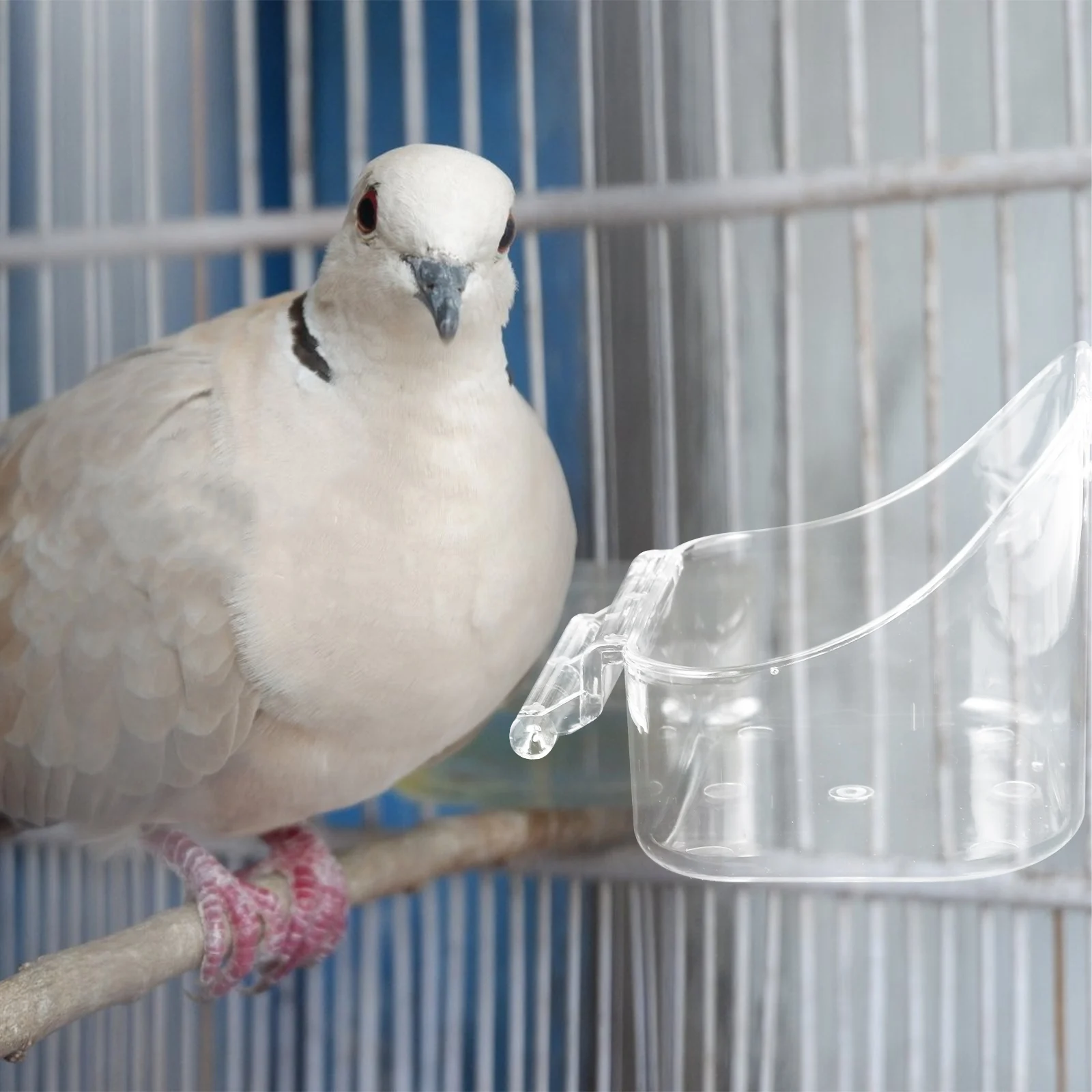 

Hanging Bird Feeder Bath Tub PP Material Parakeet Cage Accessory Multipurpose Bathtub Water Shower Small Pet Grooming