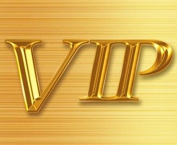 

VIP customized product 12