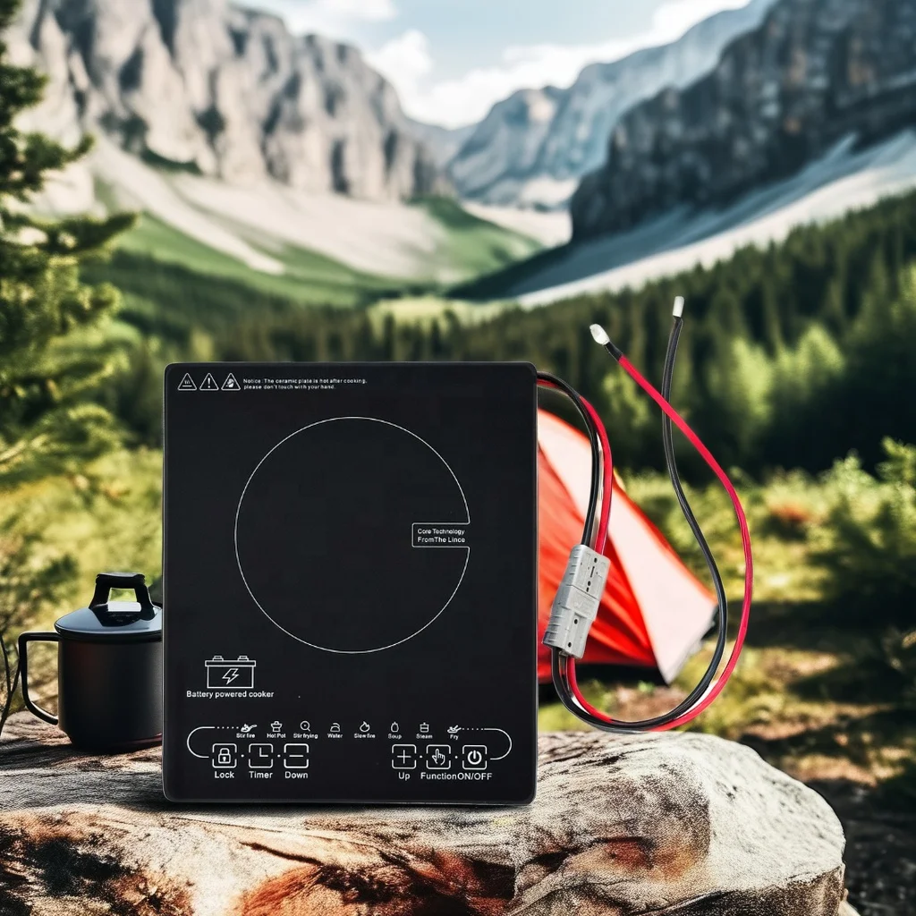 أفضل بيع الذكية تيار مستمر 12 فولت/24 فولت/48 فولت بطارية التعريفي طباخ صغير محمول الشمسية في الهواء الطلق التخييم الأرز موقد