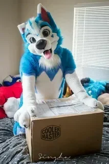 ชุดมาสคอตสุนัขพันธุ์ฮัสกี้ขนสีฟ้าขาว สำหรับงานฮาโลวีน งานวันเกิด หรือเป็นของขวัญ