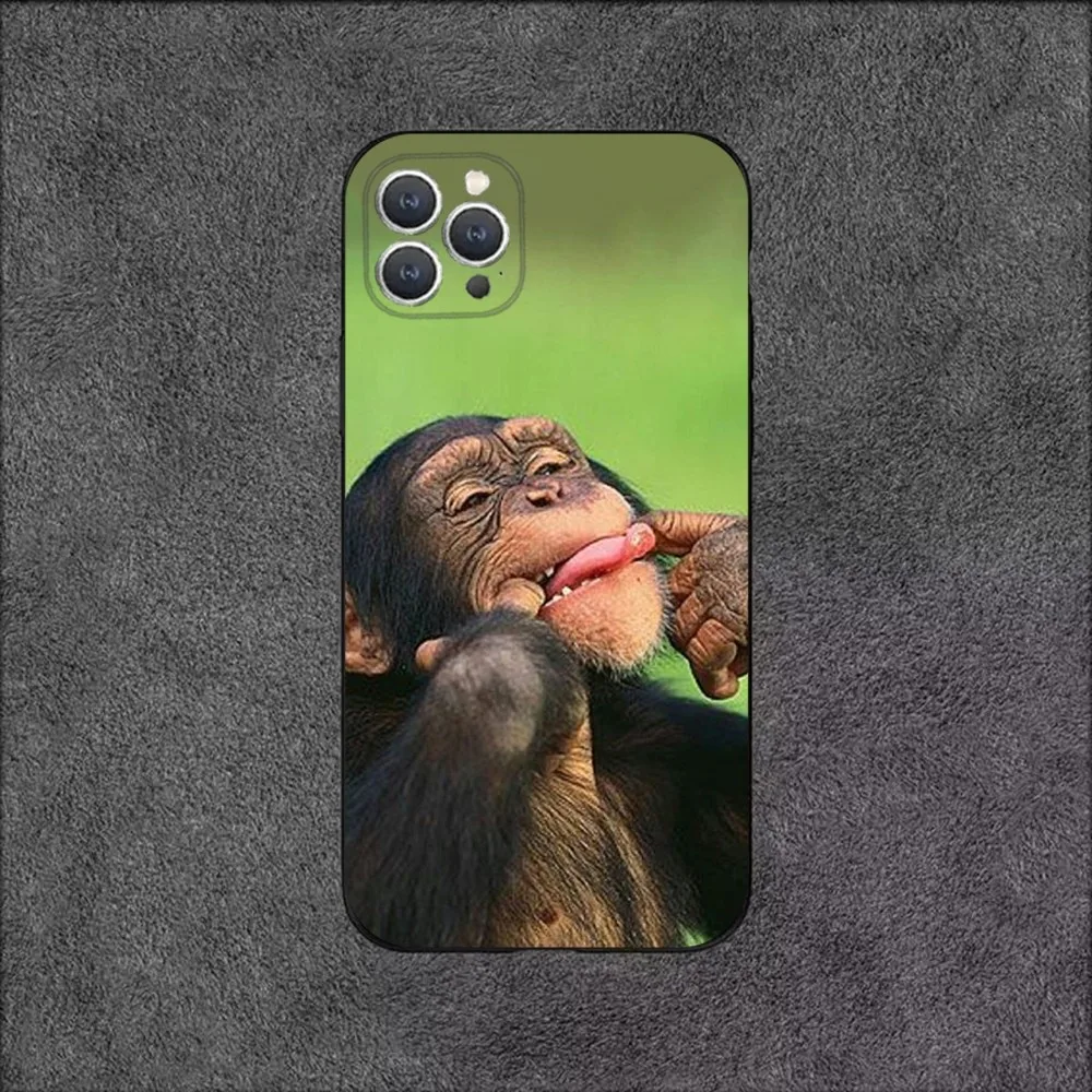 Monkey Gorilla  Phone Case For iPhone 16,15,14,13,12,11,Plus,Pro Max,XS,X,XR,SE,Mini,8,7 Soft Silicone Black Cover